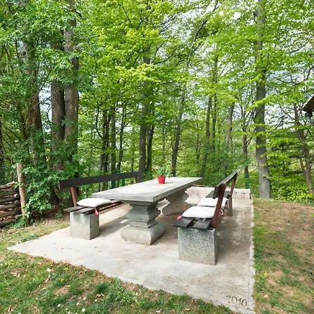 At Forest's